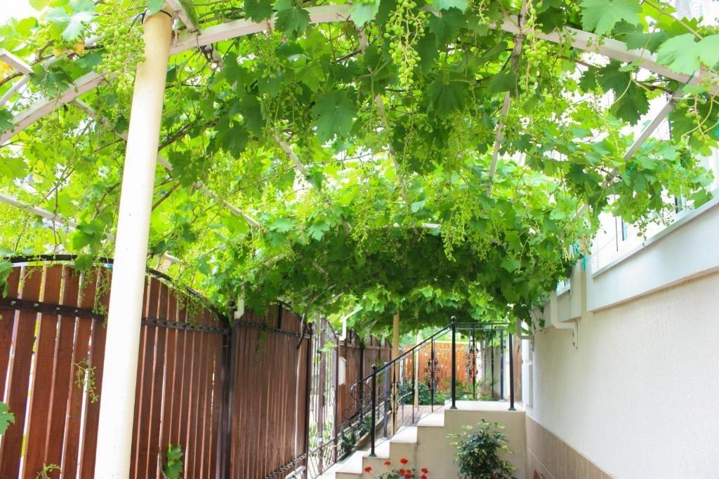 Фотогалерея гостевого дома Палермо